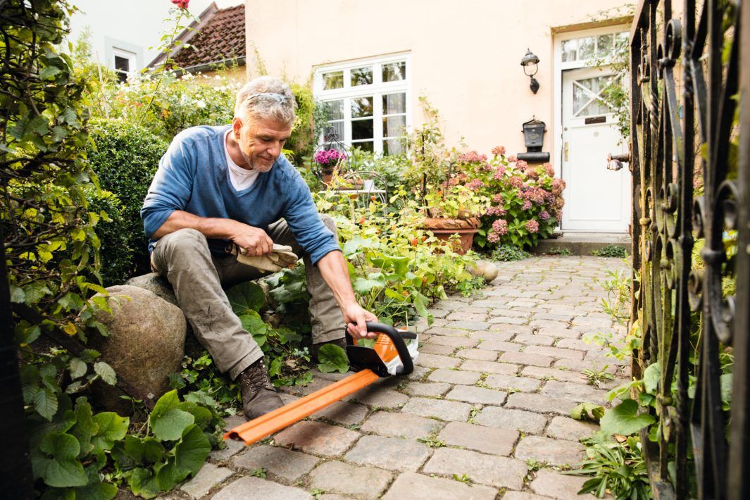 Stihl Akku-Heckenschere HSA 45